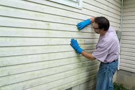 Affordable Siding Repair and Maintenance Services in Brownlee Park, MI